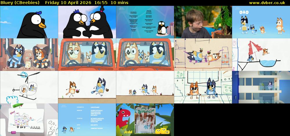 Bluey (CBeebies) Friday 10 April 2026 16:55 - 17:05