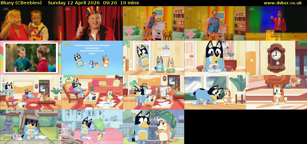 Bluey (CBeebies) Sunday 12 April 2026 09:20 - 09:30