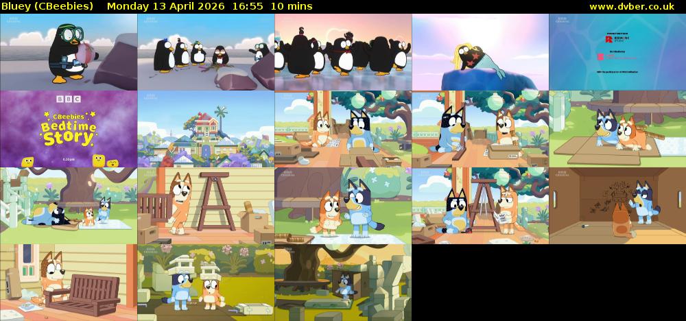 Bluey (CBeebies) Monday 13 April 2026 16:55 - 17:05