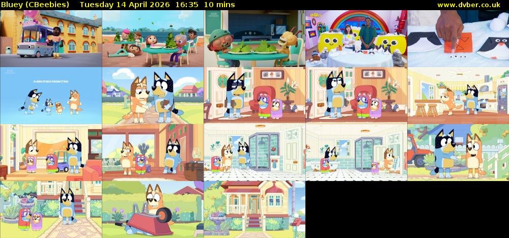Bluey (CBeebies) Tuesday 14 April 2026 16:35 - 16:45