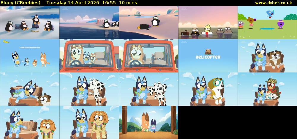Bluey (CBeebies) Tuesday 14 April 2026 16:55 - 17:05