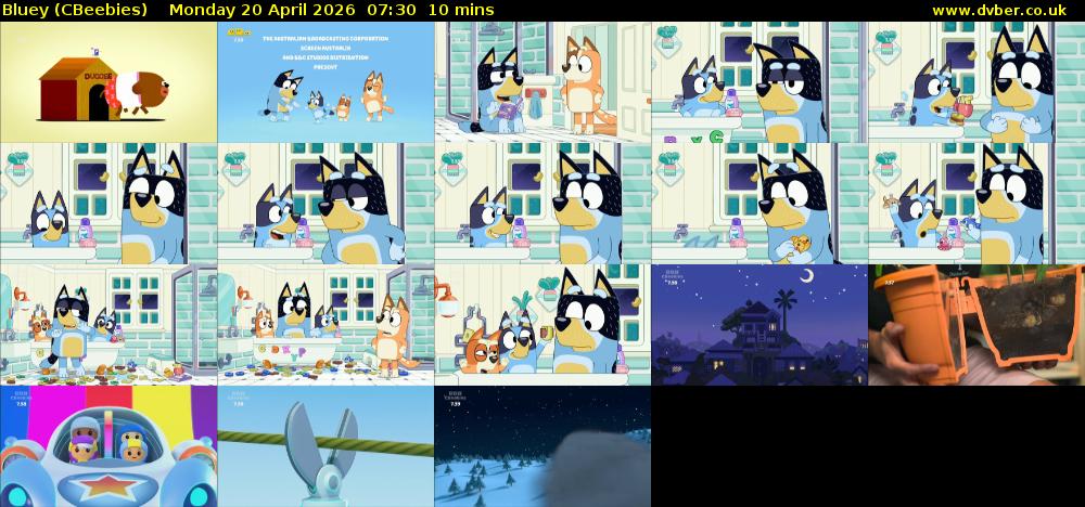 Bluey (CBeebies) Monday 20 April 2026 07:30 - 07:40