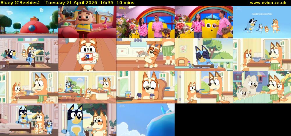 Bluey (CBeebies) Tuesday 21 April 2026 16:35 - 16:45