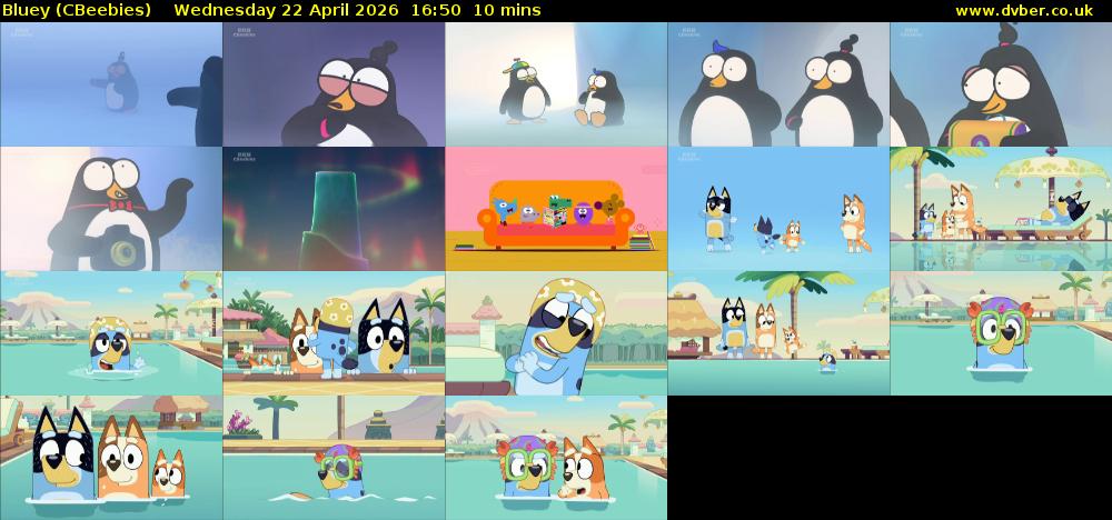 Bluey (CBeebies) Wednesday 22 April 2026 16:50 - 17:00