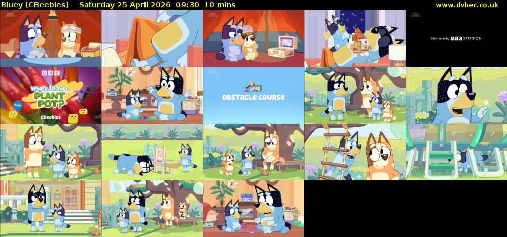 Bluey (CBeebies) Saturday 25 April 2026 09:30 - 09:40