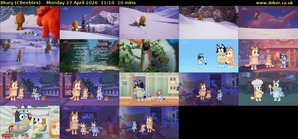 Bluey (CBeebies) Monday 27 April 2026 11:10 - 11:20