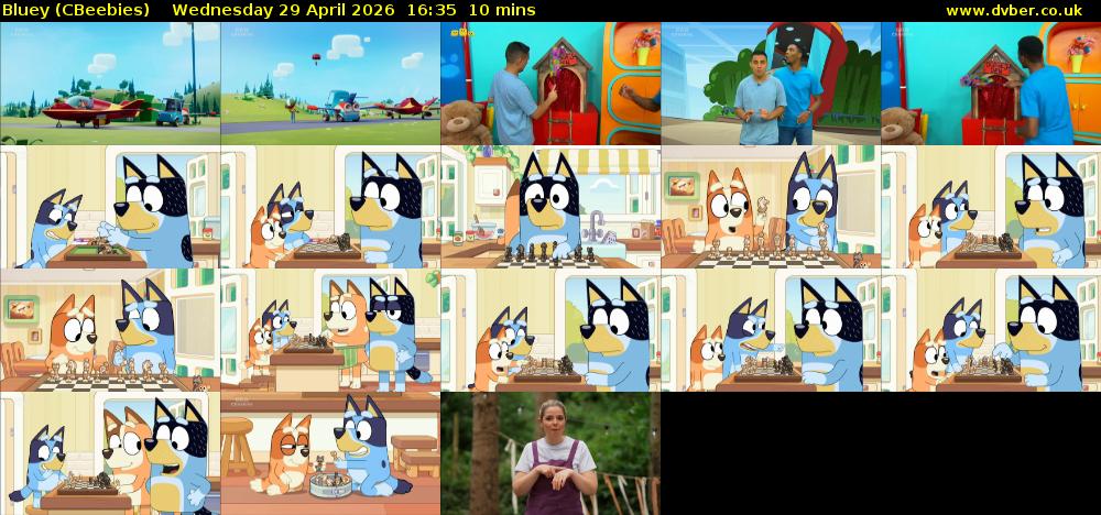 Bluey (CBeebies) Wednesday 29 April 2026 16:35 - 16:45