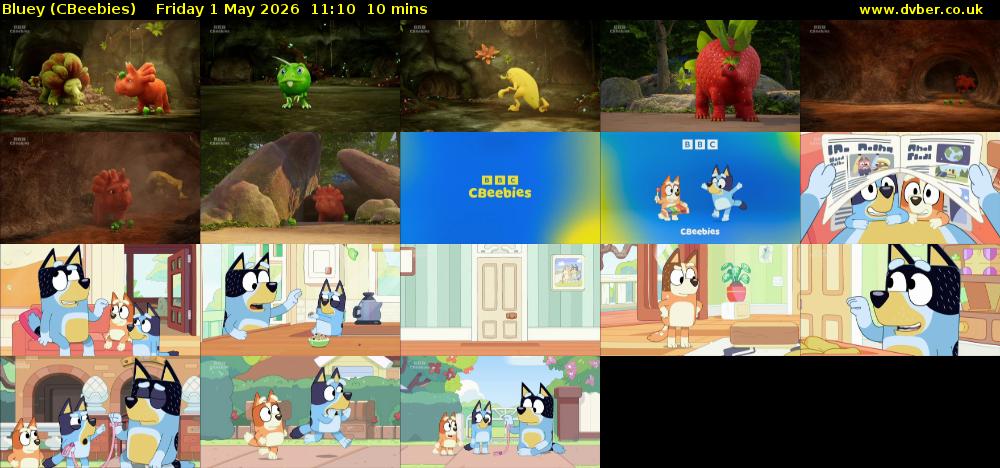 Bluey (CBeebies) Friday 1 May 2026 11:10 - 11:20