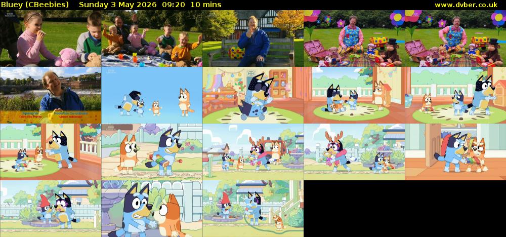 Bluey (CBeebies) Sunday 3 May 2026 09:20 - 09:30