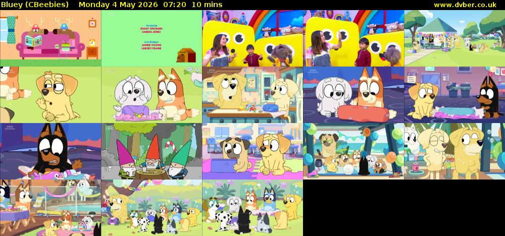 Bluey (CBeebies) Monday 4 May 2026 07:20 - 07:30