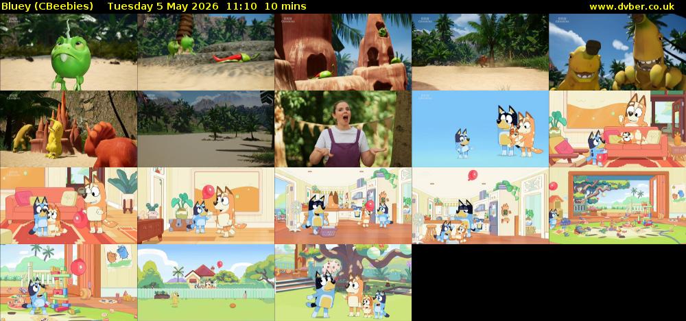 Bluey (CBeebies) Tuesday 5 May 2026 11:10 - 11:20