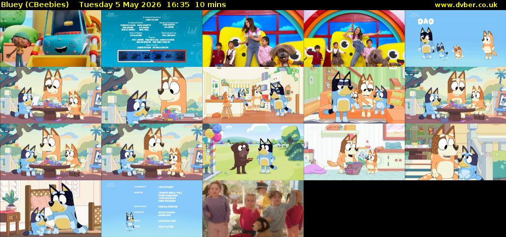 Bluey (CBeebies) Tuesday 5 May 2026 16:35 - 16:45