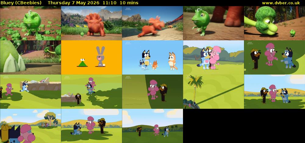 Bluey (CBeebies) Thursday 7 May 2026 11:10 - 11:20