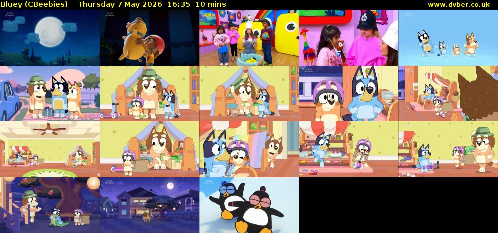 Bluey (CBeebies) Thursday 7 May 2026 16:35 - 16:45