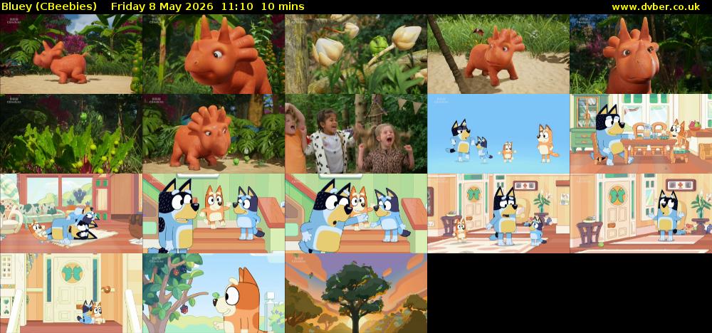 Bluey (CBeebies) Friday 8 May 2026 11:10 - 11:20