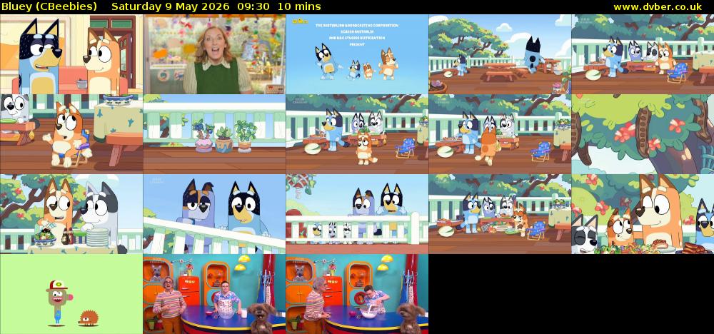 Bluey (CBeebies) Saturday 9 May 2026 09:30 - 09:40
