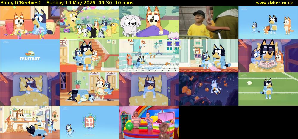 Bluey (CBeebies) Sunday 10 May 2026 09:30 - 09:40