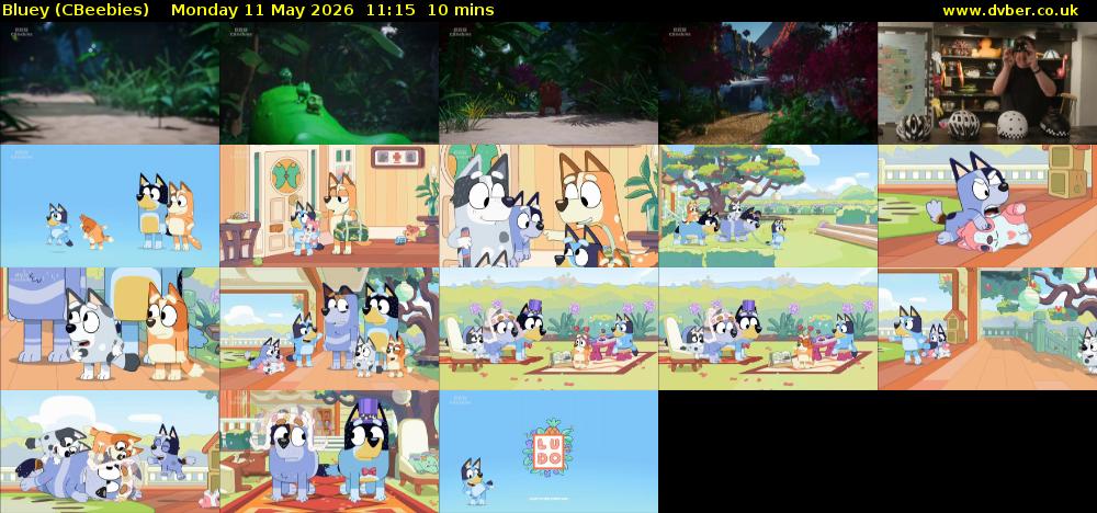Bluey (CBeebies) Monday 11 May 2026 11:15 - 11:25