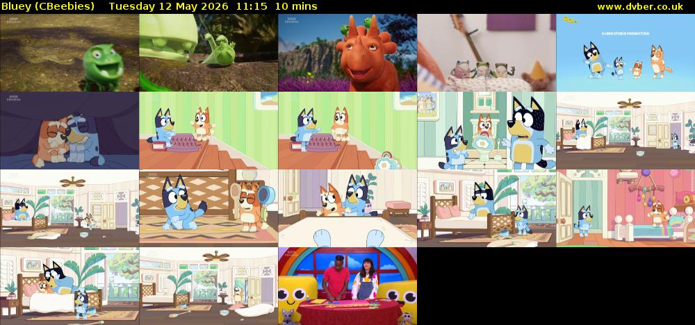Bluey (CBeebies) Tuesday 12 May 2026 11:15 - 11:25
