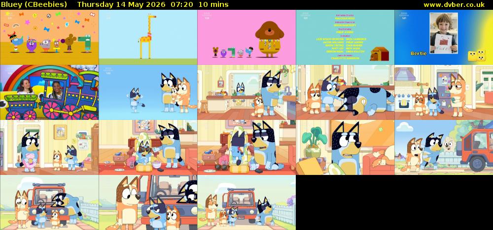 Bluey (CBeebies) Thursday 14 May 2026 07:20 - 07:30