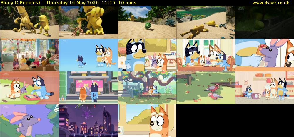 Bluey (CBeebies) Thursday 14 May 2026 11:15 - 11:25