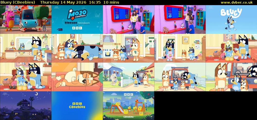 Bluey (CBeebies) Thursday 14 May 2026 16:35 - 16:45