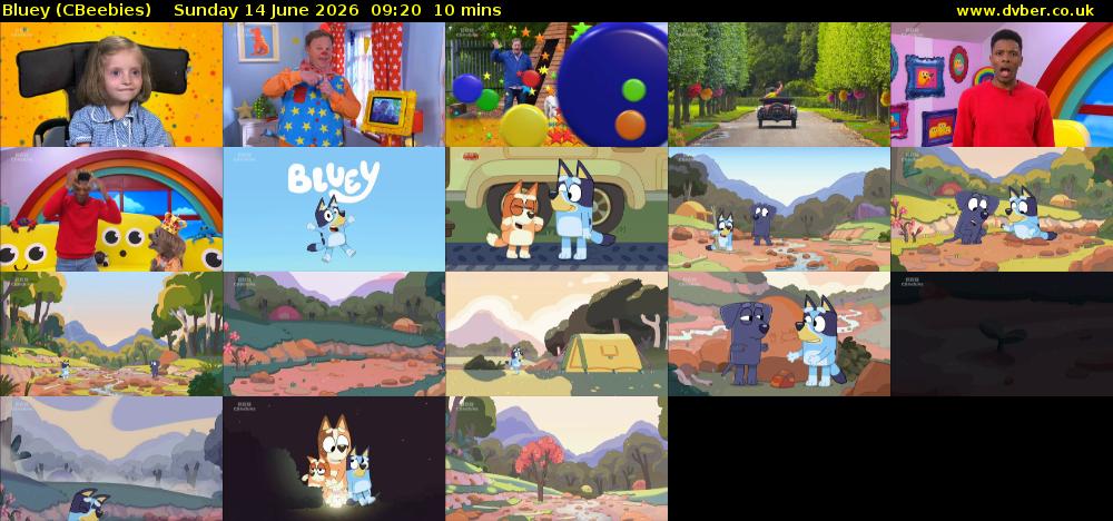 Bluey (CBeebies) Sunday 14 June 2026 09:20 - 09:30