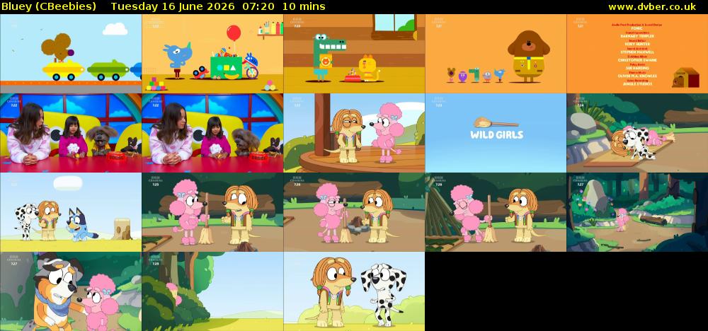 Bluey (CBeebies) Tuesday 16 June 2026 07:20 - 07:30