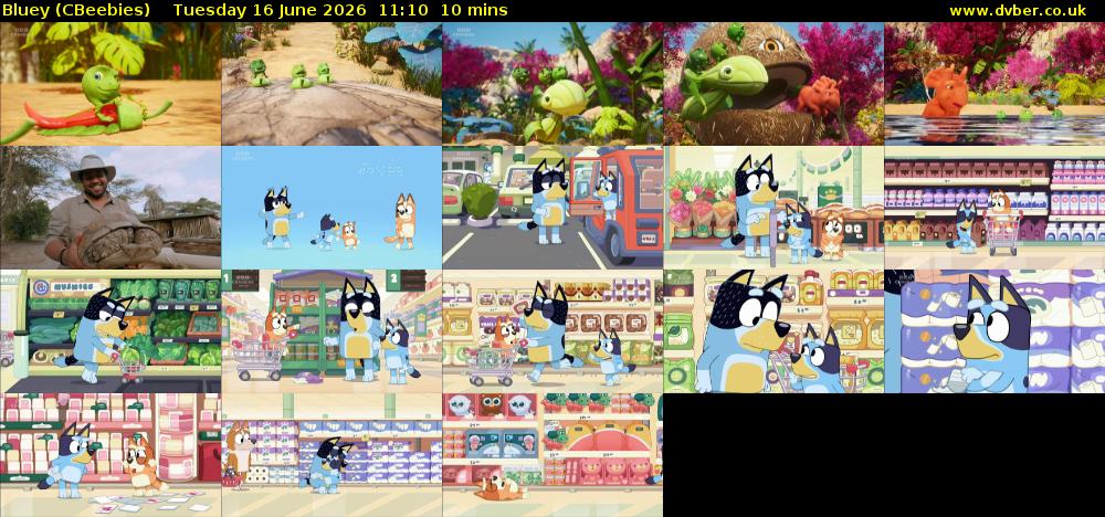 Bluey (CBeebies) Tuesday 16 June 2026 11:10 - 11:20