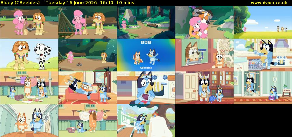 Bluey (CBeebies) Tuesday 16 June 2026 16:40 - 16:50