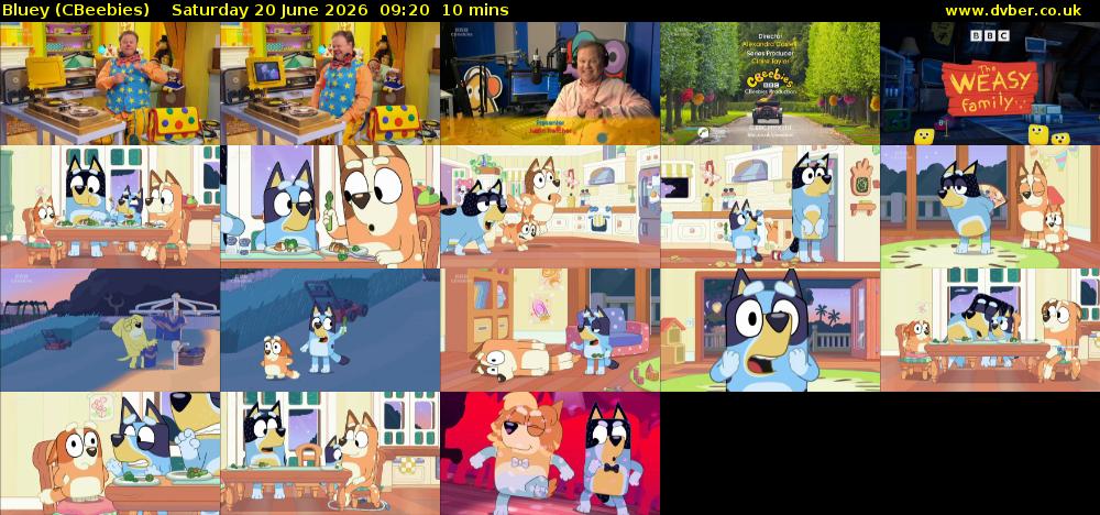 Bluey (CBeebies) Saturday 20 June 2026 09:20 - 09:30
