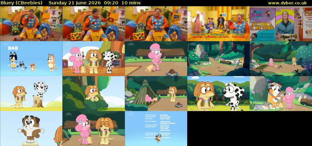 Bluey (CBeebies) Sunday 21 June 2026 09:20 - 09:30