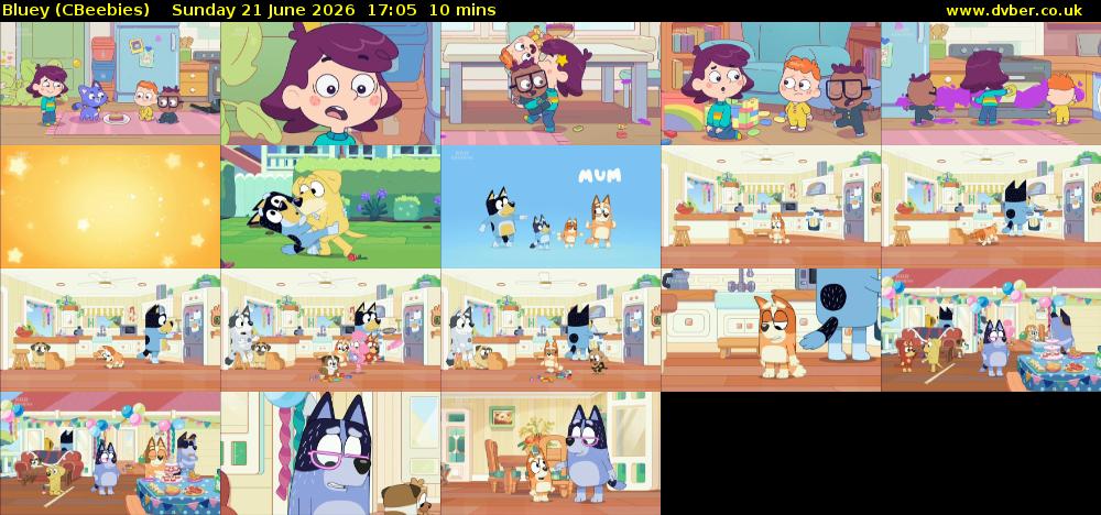 Bluey (CBeebies) Sunday 21 June 2026 17:05 - 17:15