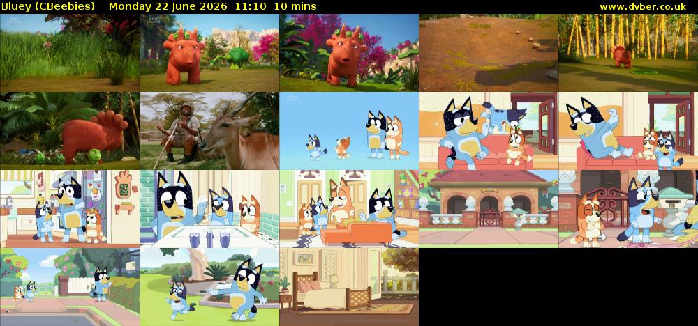 Bluey (CBeebies) Monday 22 June 2026 11:10 - 11:20