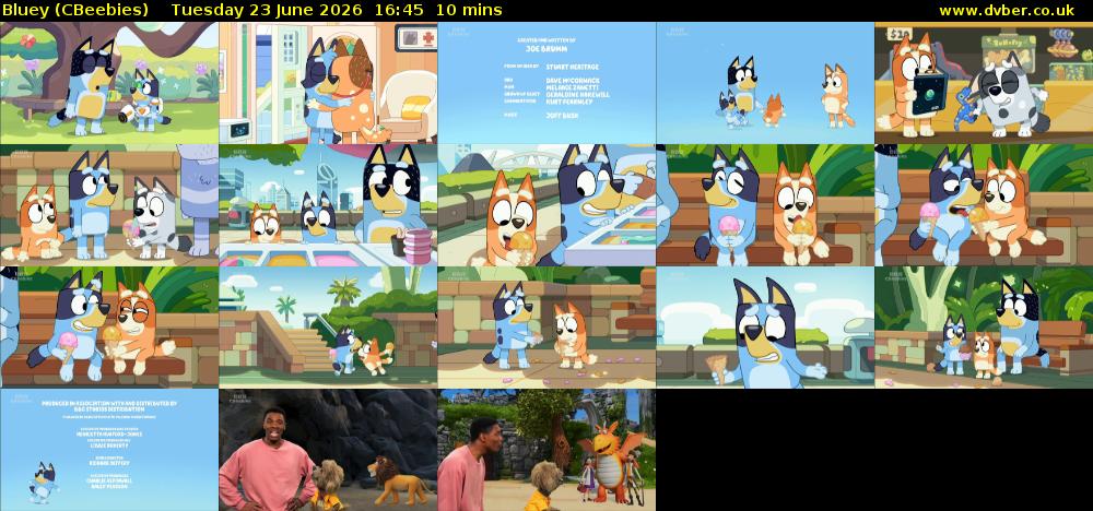 Bluey (CBeebies) Tuesday 23 June 2026 16:45 - 16:55