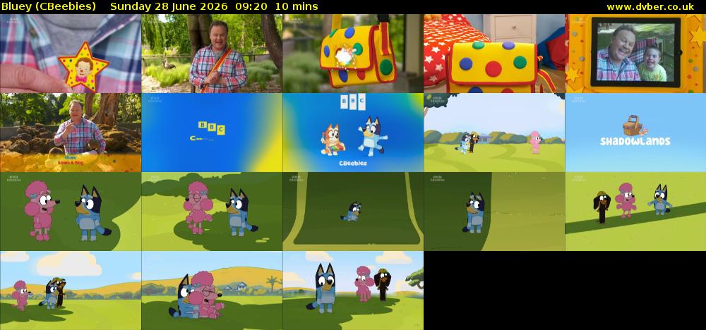 Bluey (CBeebies) Sunday 28 June 2026 09:20 - 09:30
