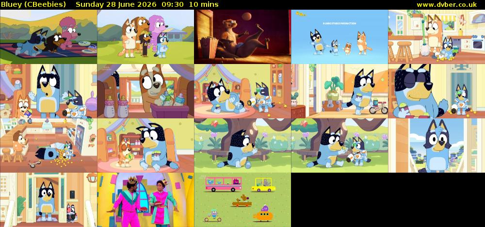 Bluey (CBeebies) Sunday 28 June 2026 09:30 - 09:40