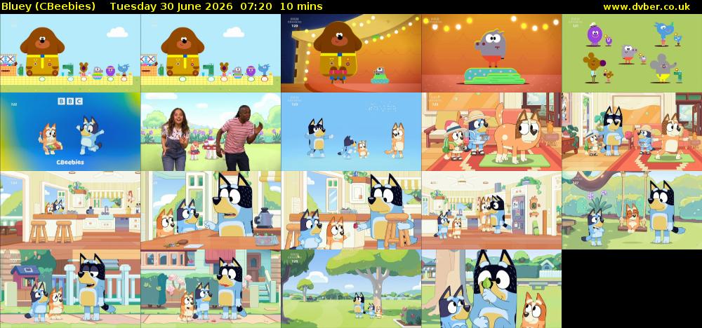 Bluey (CBeebies) Tuesday 30 June 2026 07:20 - 07:30