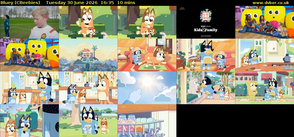 Bluey (CBeebies) Tuesday 30 June 2026 16:35 - 16:45