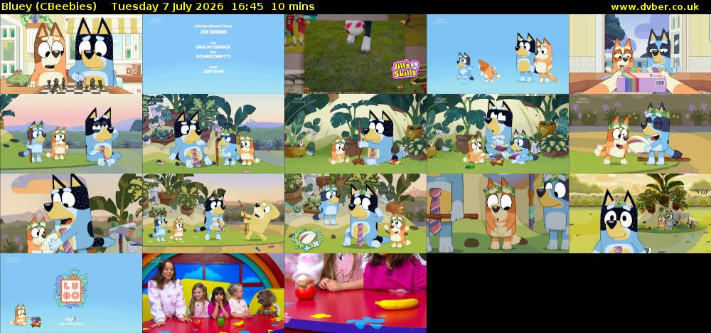 Bluey (CBeebies) Tuesday 7 July 2026 16:45 - 16:55