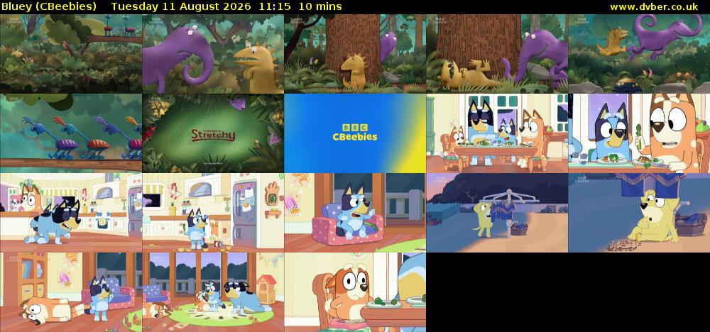 Bluey (CBeebies) Tuesday 11 August 2026 11:15 - 11:25