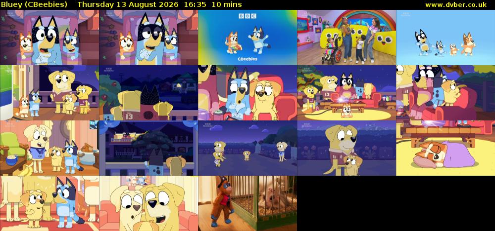Bluey (CBeebies) Thursday 13 August 2026 16:35 - 16:45