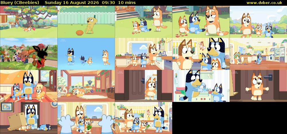 Bluey (CBeebies) Sunday 16 August 2026 09:30 - 09:40