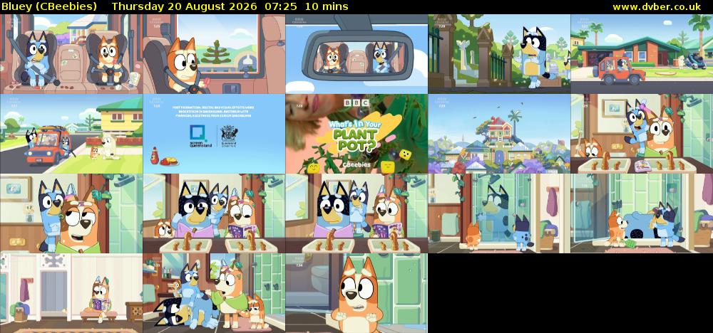 Bluey (CBeebies) Thursday 20 August 2026 07:25 - 07:35