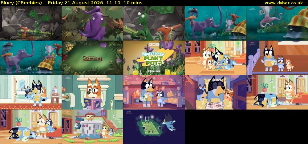 Bluey (CBeebies) Friday 21 August 2026 11:10 - 11:20