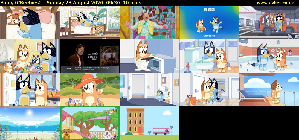 Bluey (CBeebies) Sunday 23 August 2026 09:30 - 09:40