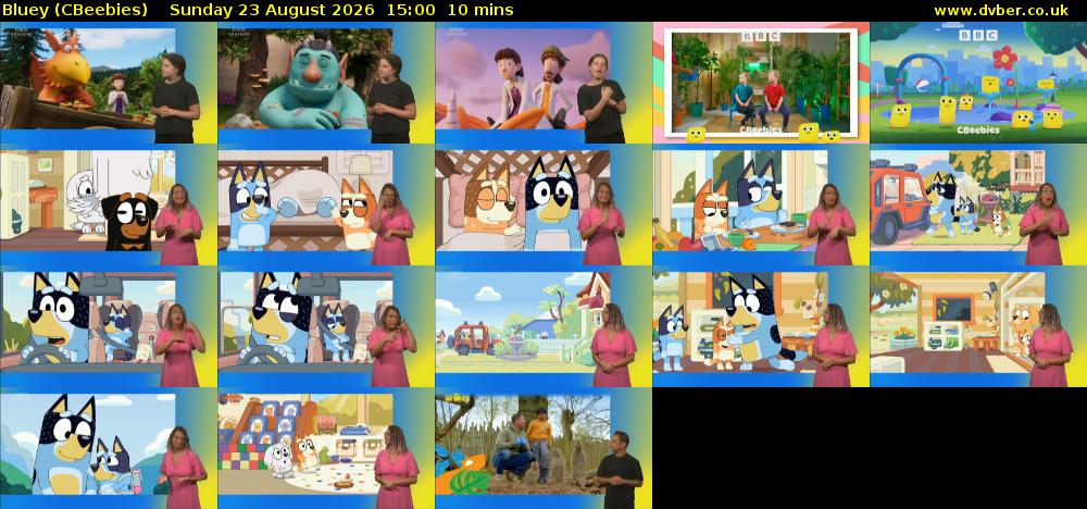 Bluey (CBeebies) Sunday 23 August 2026 15:00 - 15:10