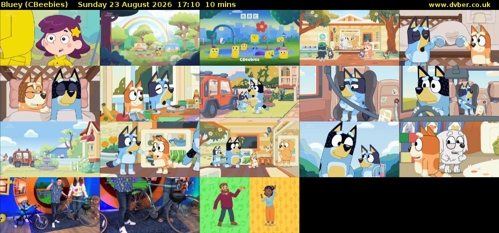 Bluey (CBeebies) Sunday 23 August 2026 17:10 - 17:20