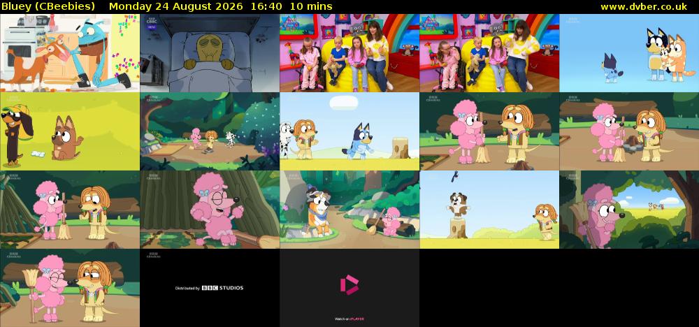 Bluey (CBeebies) Monday 24 August 2026 16:40 - 16:50