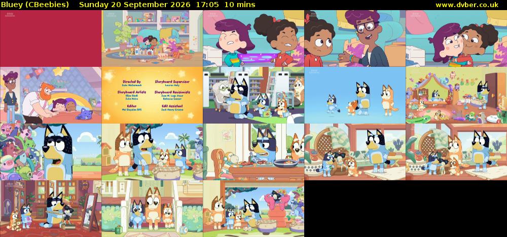 Bluey (CBeebies) Sunday 20 September 2026 17:05 - 17:15